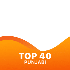 Punjabi Top 40