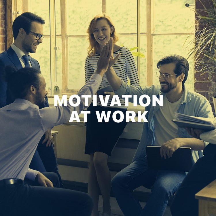 Motivation at Work