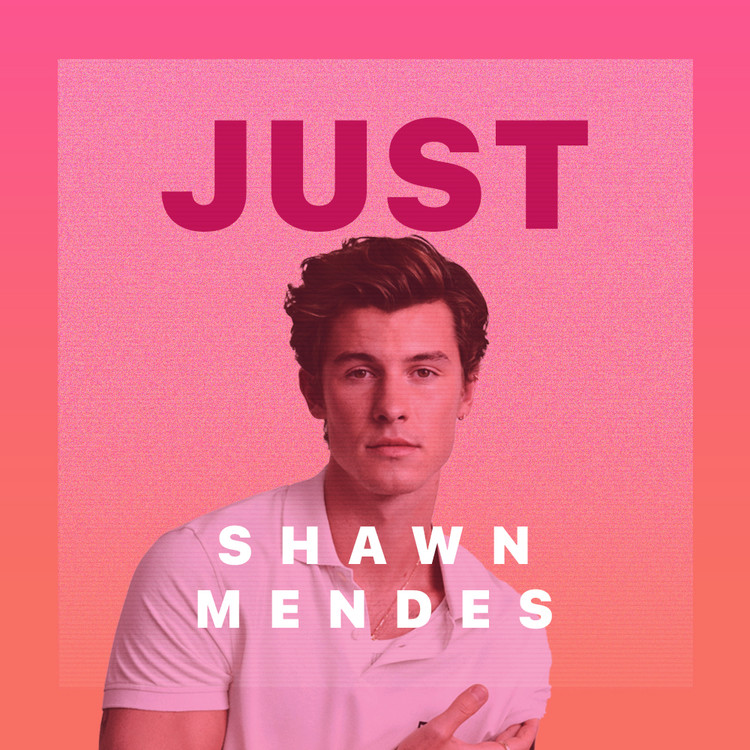 Just Shawn Mendes