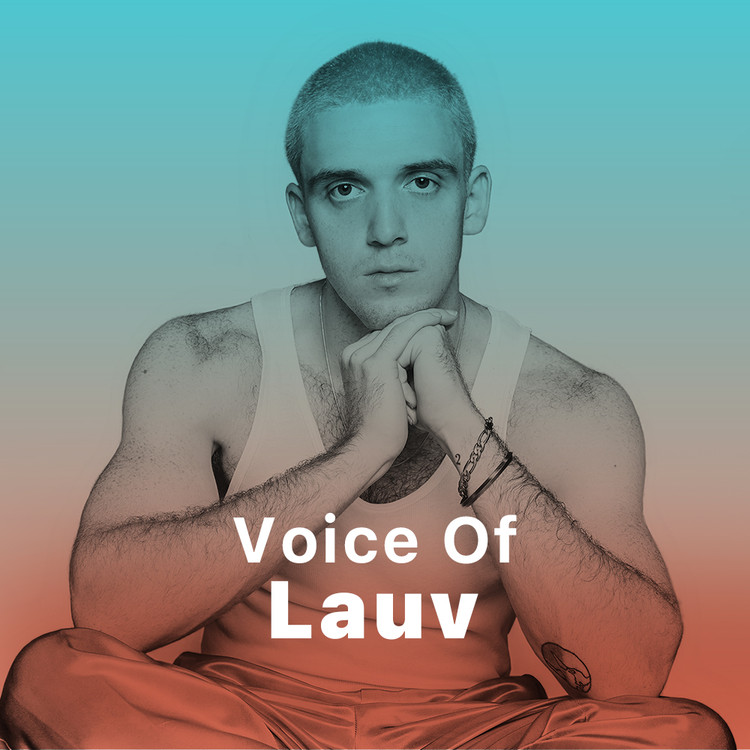 Voice Of Lauv