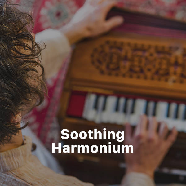 Soothing Harmonium-hover