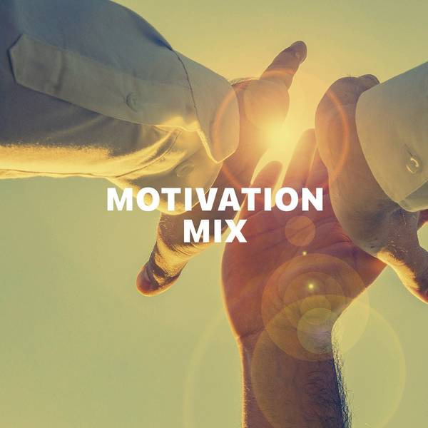 Motivation Mix