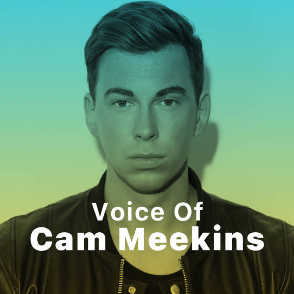 Voice of Cam Meekins-hover